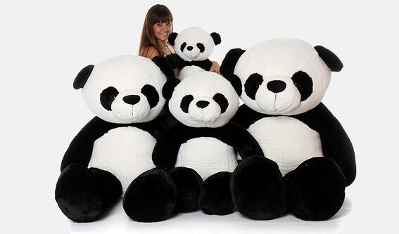 Giant teddies